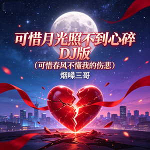 月亮照不到我心碎(可惜春风不懂我的伤悲）（DJ版）