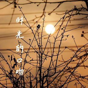 时光的口吻