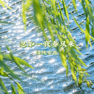 忽如一夜春风来