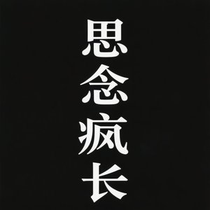 情深偏等一世纪