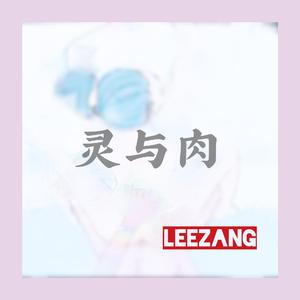 Stan Gets-灵与肉（Leezang. remix）