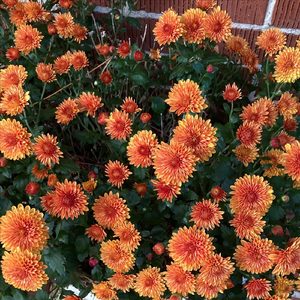 Faith, Hope and Love