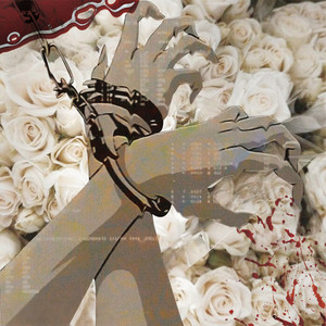 是我不该牵起你的手