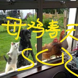 母鸡春天