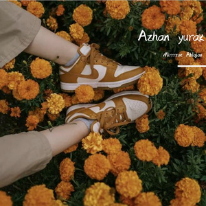 Azhan yurak（失足的心）