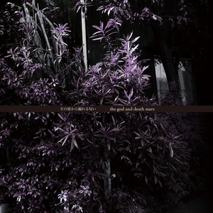 君に決めた / Kiminikimeta