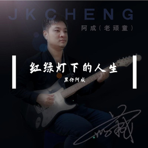 WAV文件_红绿灯下的人生_19515481001345025_1751623186815[1]