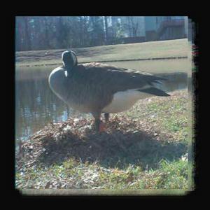 LIAR・SADIST・COWARD