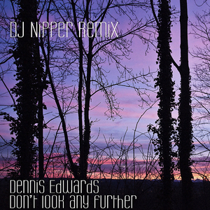 Don't Look Any Further (DJ Nipper Vocal Remix)