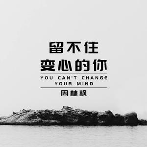 留不住变心的你