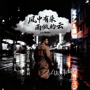 风中有朵雨做的云（emo烟嗓版）