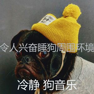 抚慰的幼犬回忆