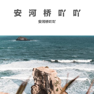 是我的海丫