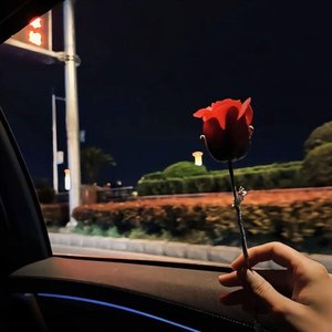 BariMan（现场版）