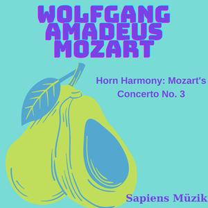 Harmonic Elegance: Horn Reflections