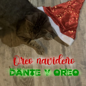 Navideño