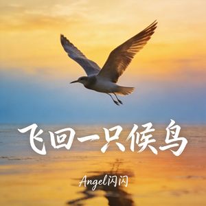 飞回一只候鸟