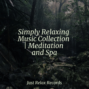 Glittering Symphony of Grief