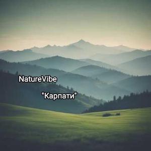 Карпати