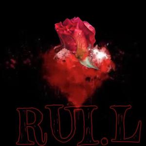 红色的花.黑色的心RFBH