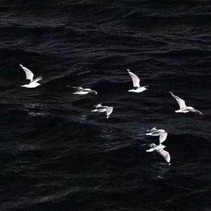 Amnesia（Slowed&Reverb）