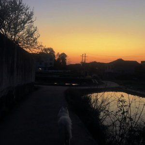 我的世界又下起了雨