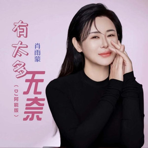 有太多无奈 (DJ阿能版)