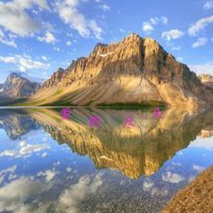 你的承诺是一场戏