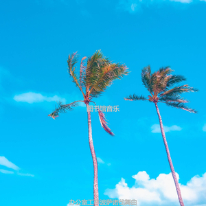 适合办公室工作柔软的音乐