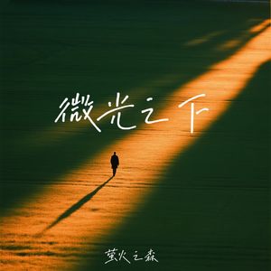 微光之下