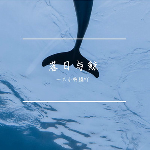 落日与鲸（翻自 鬼鬼Gmer）