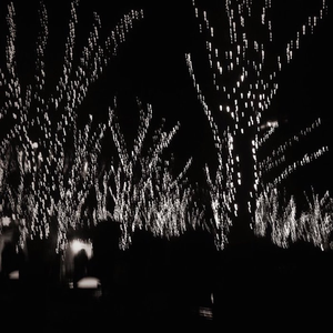 ストロボラスト（the Anise Flower -Y for T- Remix）