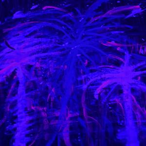 Big Sugar Crystals (feat. Past Project)