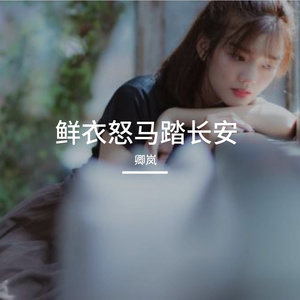 鲜衣怒马踏长安