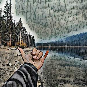 Nostrils Whirtle Seals