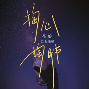掏心掏肺 (DJ默涵版)