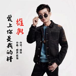 爱上你是我的错