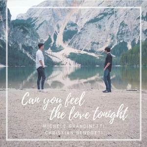 Can You Feel the Love Tonight