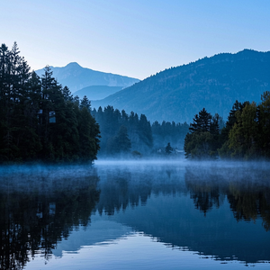 Warrior Soul Forever