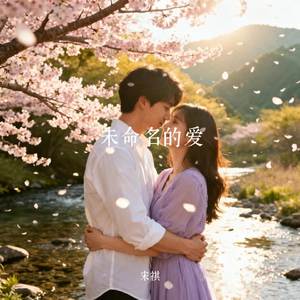 未命名的爱