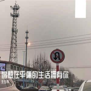 多想在平庸的生活拥抱你