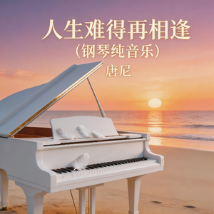 人生难得再相逢（钢琴纯音乐）