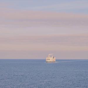 Shy（爱我别太多哦拜托）