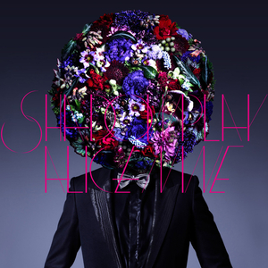 SHADOWPLAY （Inst．）