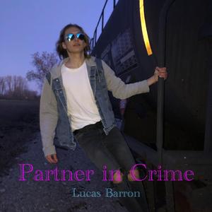 Partner in Crime