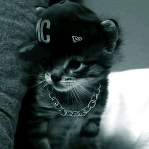 Мартовский кот