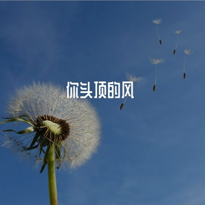 你耳边的风