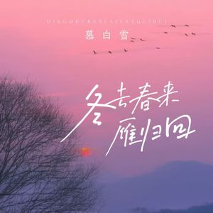 冬去春来雁归回