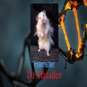 Hamster