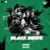The black birds[official] - The black birds